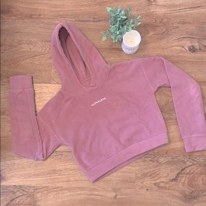 Alphalete Cropped Teddy Hoodie